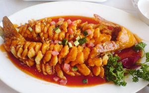 11393109_1456957511283522_7884113747650633457_n